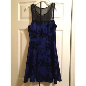 Royal Blue Suede Dress